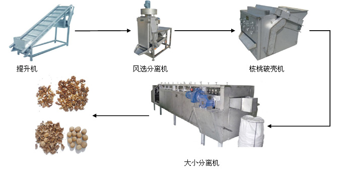 核桃仁破壳取仁生产线